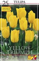 Тюльпан Йеллоу Триумф (Yellow Triumph), 25 шт