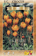 Крокус Оливьери Оранж Монарх (olivieri Orange Monarch), 15 шт (разбор 5/7)