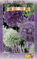 Аллиум Дуэт смесь (Allium Duet Mix), 15 шт
