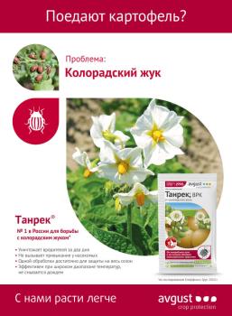 Танрек ВРК от колорадского жука (Август), 100 мл - картинка 2
